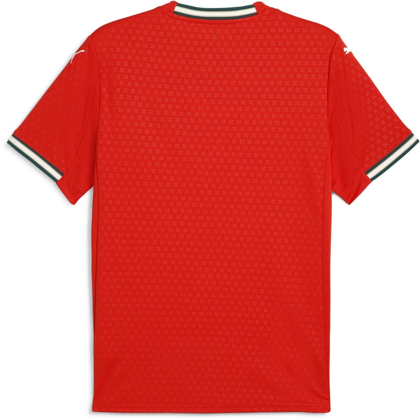 Portugal Puma Home Shirt 2025 | Youth