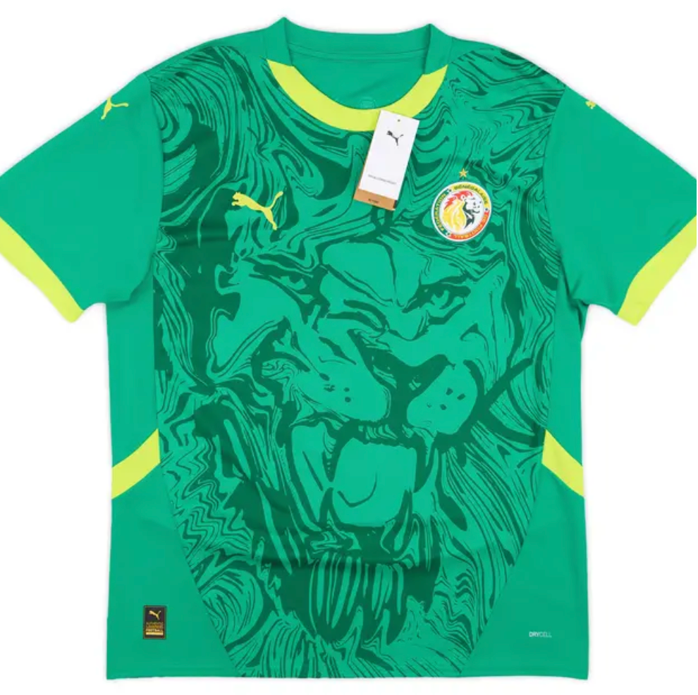 Senegal Puma Away Shirt 24/25 | Adults